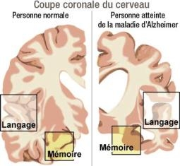 Societe