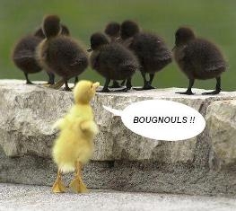 Identité