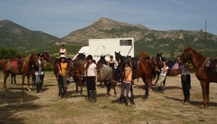 Equitation sport