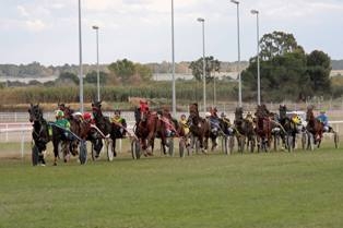 Hippisme