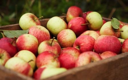 La pomme