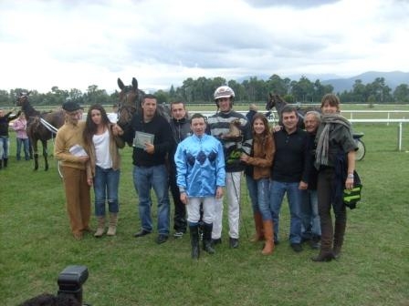 Sport hippisme
